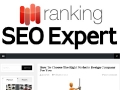 SEO Ranking Expert: SEO Services India