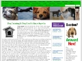 seeFIDO Dog Health & Training 
