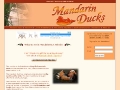 Mandarin Duck Feng Shui
