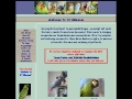 Southeast Texas Avian Rescue
