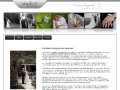 Studio 51: Professional Wedding Photographer