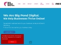Big Pond Digital - SEO & Digital Marketing Agency