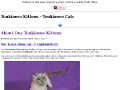 Tonkinese Cats and Kittens