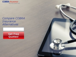 Cobra Insurance
