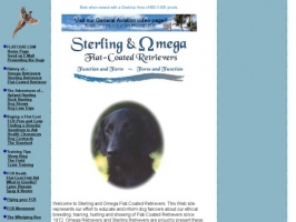 Sterling and Omega Flat-Coated Retrievers