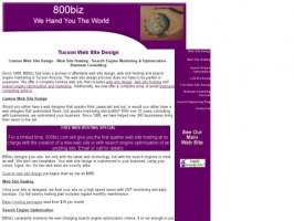 800biz Web Design