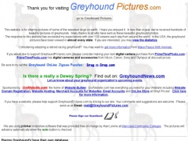Greyhound Pictures