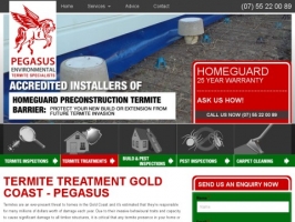Termite Treatment Gold Coast - Pegasus Environmental