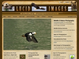 Lucid Images Wildlife Photography