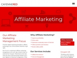 Affiliate Marketing agency