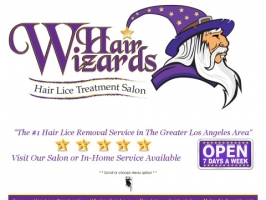 Hair Wizards Salon Head Lice Treatment