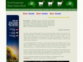 Knocknagulagh Boer Goat Stud
