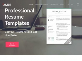 Professional Resume Templates and Cover Letter Templates 