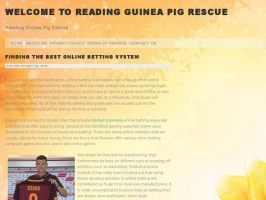 Reading Guinea Pig Rescue