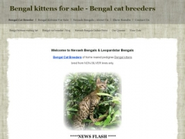 Nevaeh Bengals: Bengal Kittens for Sale