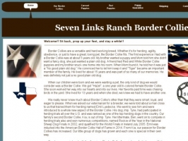 Seven Links Ranch Border Collies in Texas