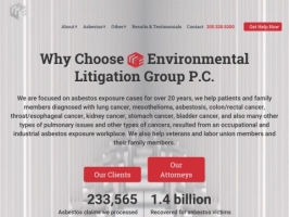 Environmental Litigation Attorney