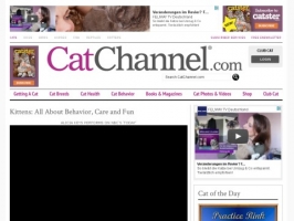Cat Channel: Kittens