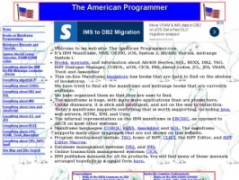 The American Programmer