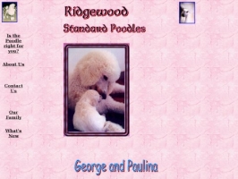 Ridgewood Standard Poodle
