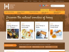 Honey.com-the honey expert