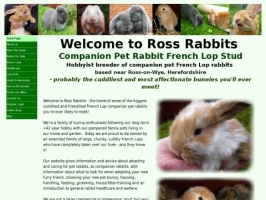 Ross Rabbits