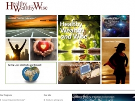 Healthy Wealthy and Wise Home-Based Business