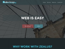 Zealus Web Design, e-commerce development, web hos