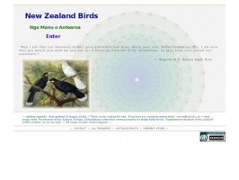 New Zealand Birds