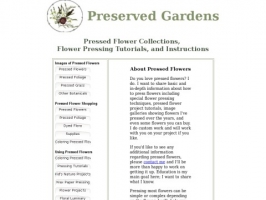 Preserved Gardens Pressed Flowers